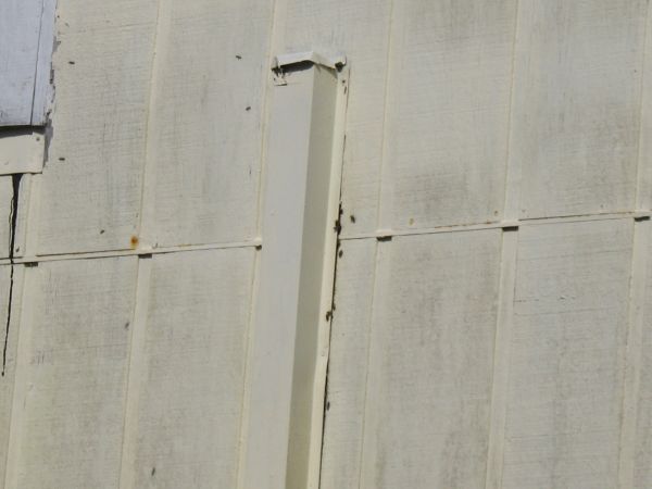 IMG_0563.JPG