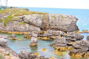 DSC_9154.jpg