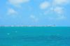 DSC_8994.jpg