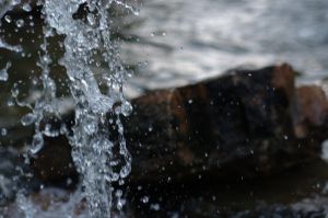 DSC_9213.jpg