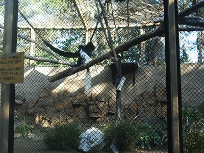 zoo24.jpg