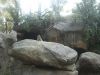 Filename=zoo.png
Filesize=2748KiB
Dimensions=1600x1200
Date added=Mar 17, 2006 zoo.png