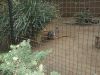 Filename=zoo39.png
Filesize=3374KiB
Dimensions=1600x1200
Date added=Mar 17, 2006 zoo39.png