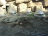 Filename=zoo45.png
Filesize=2994KiB
Dimensions=1600x1200
Date added=Mar 17, 2006 zoo45.png