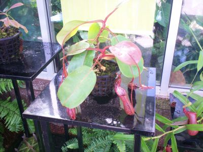 100_0213.jpg