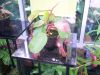 100_0213.jpg