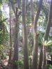 100_0242.jpg