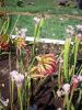 100_0285.jpg