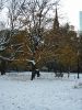 Filename=tree.jpg
Filesize=132KiB
Dimensions=480x640
Date added=Mar 10, 2006 tree.jpg