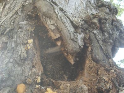 s2010153.jpg