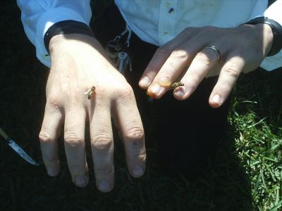 s2010079.jpg