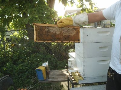 s2010090.jpg