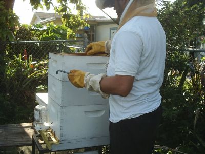 s2010095.jpg