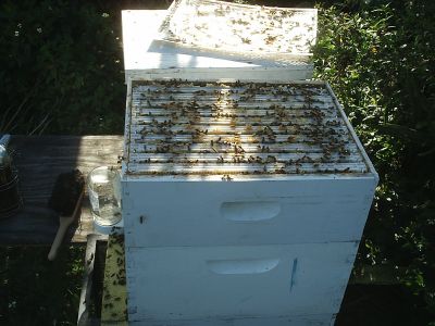 s2010096.jpg