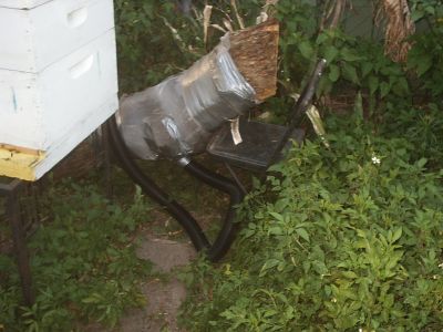 s2010155.jpg