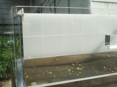 s2010049.jpg