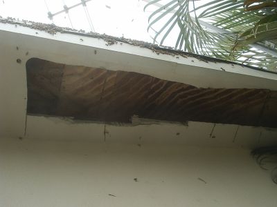 s2010112.jpg