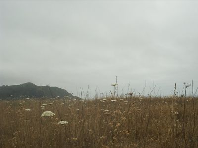 s2010094.jpg