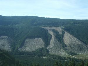 s2010181.jpg