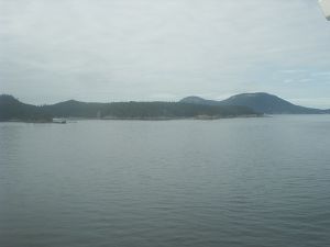 s2010259.jpg