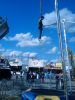 Filename=1232224636037.jpg
Filesize=473KiB
Dimensions=1536x2048
Date added=Jan 25, 2009 1232224636037.jpg