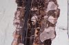 100_2942.jpg