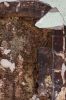 100_2961.jpg