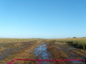 dscn0572.jpg