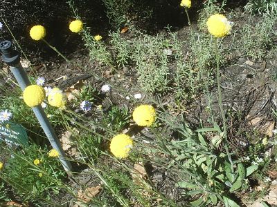 s2010143.jpg
