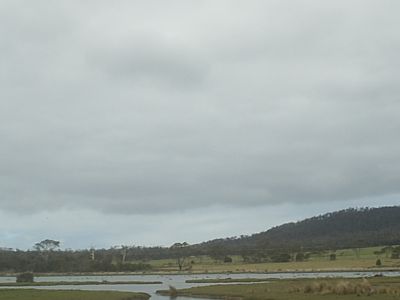 s2010167.jpg