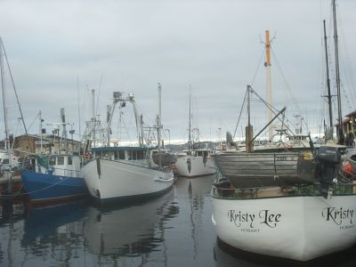 s2010094.jpg