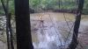 Filename=2015-10-10_14_54_14.jpg
Filesize=1544KiB
Dimensions=3264x1836
Date added=Oct 18, 2015 2015-10-10_14_54_14.jpg