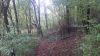 Filename=2015-10-10_14_54_58.jpg
Filesize=2364KiB
Dimensions=3264x1836
Date added=Oct 18, 2015 2015-10-10_14_54_58.jpg