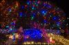 Filename=DSC_1568.jpg
Filesize=4706KiB
Dimensions=4358x2893
Date added=Oct 14, 2015 DSC_1568.jpg