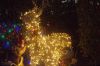 Filename=DSC_1569.jpg
Filesize=7355KiB
Dimensions=4318x2885
Date added=Oct 14, 2015 DSC_1569.jpg