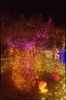 Filename=DSC_1576.jpg
Filesize=6693KiB
Dimensions=2893x4358
Date added=Oct 14, 2015 DSC_1576.jpg