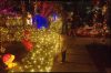 Filename=DSC_1577.jpg
Filesize=7695KiB
Dimensions=4358x2893
Date added=Oct 14, 2015 DSC_1577.jpg