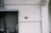 Filename=spider.jpg
Filesize=43KiB
Dimensions=1024x679
Date added=Mar 15, 2006 spider.jpg