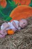 Filename=DSC_0719.jpg
Filesize=1906KiB
Dimensions=2848x4288
Date added=Aug 15, 2021 DSC_0719.jpg