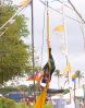 Filename=DSC_1066.jpg
Filesize=1231KiB
Dimensions=2744x3488
Date added=Aug 15, 2021 DSC_1066.jpg