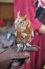 Filename=DSC_1083.jpg
Filesize=1344KiB
Dimensions=2848x4288
Date added=Aug 15, 2021 DSC_1083.jpg