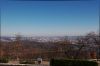 Filename=DSC_0770.jpg
Filesize=1762KiB
Dimensions=4343x2883
Date added=Aug 15, 2021 DSC_0770.jpg